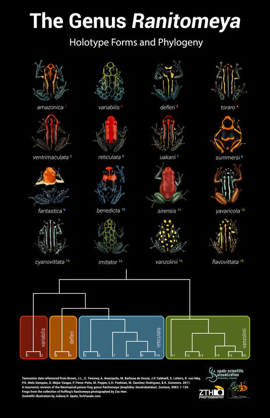 The Genus Ranitomeya